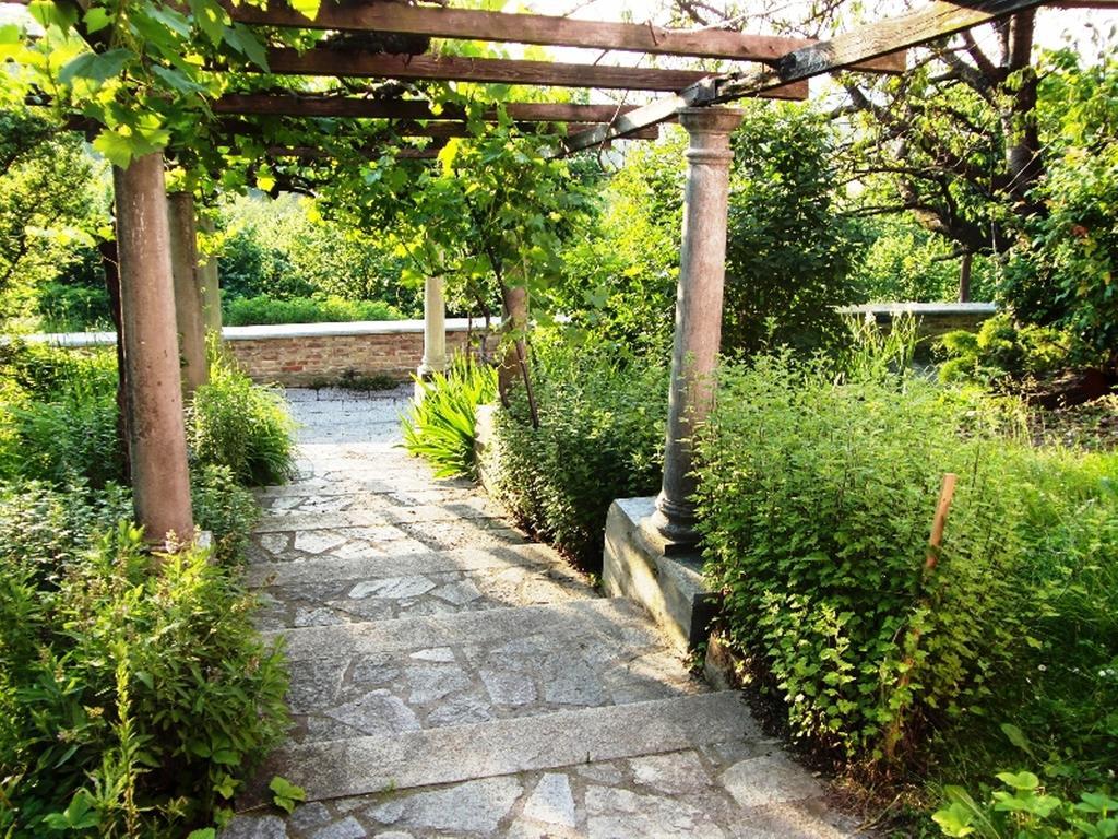 Hazelnut Valley Guarene Oda fotoğraf