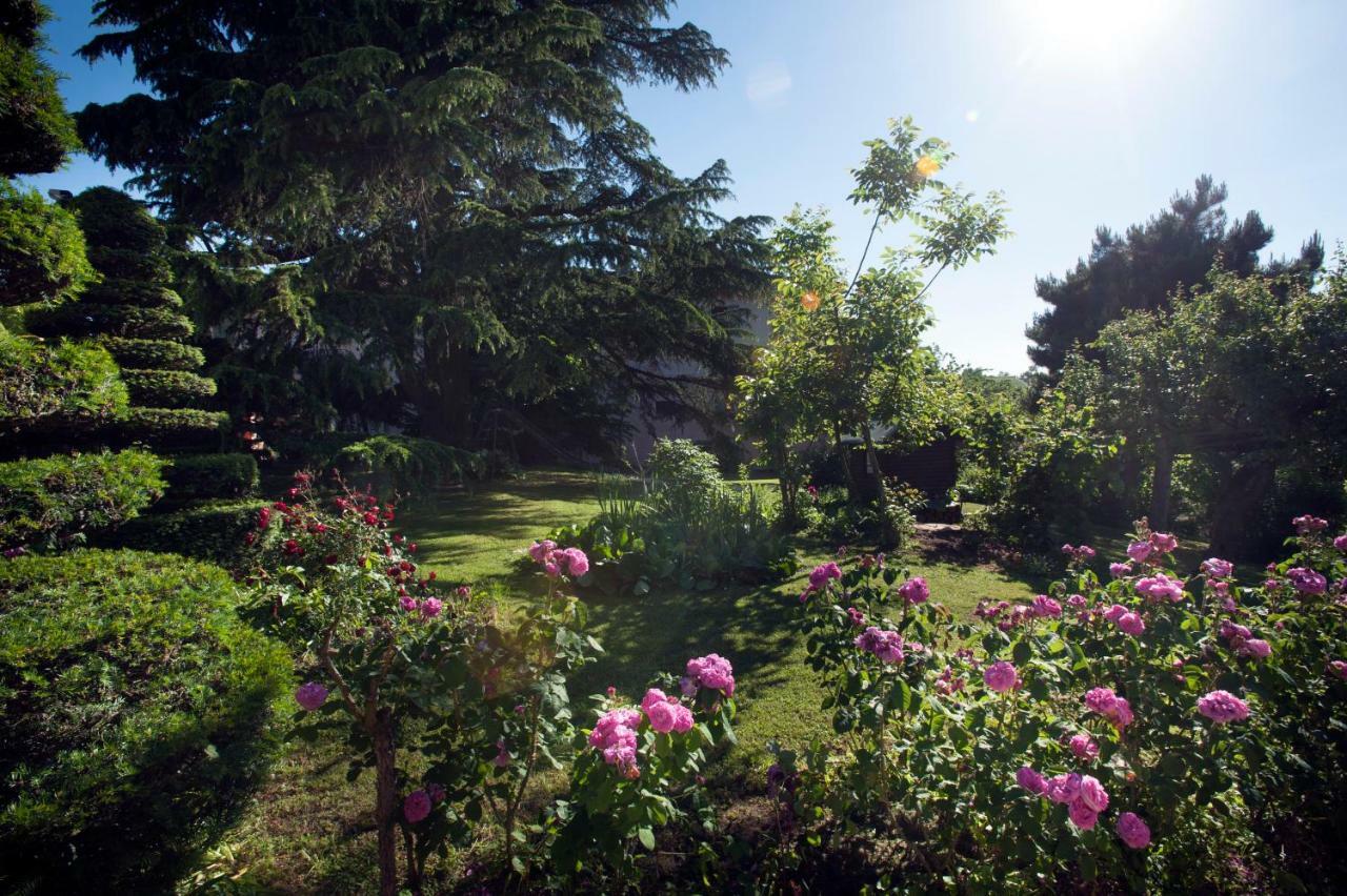 Hazelnut Valley Guarene Dış mekan fotoğraf